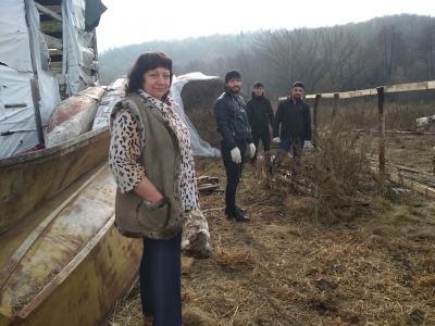 Благоустройство базы МКК "Петр Великий" силами студентов ВГЛТУ Благоустройство базы МКК "Петр Великий" силами студентов ВГЛТУ